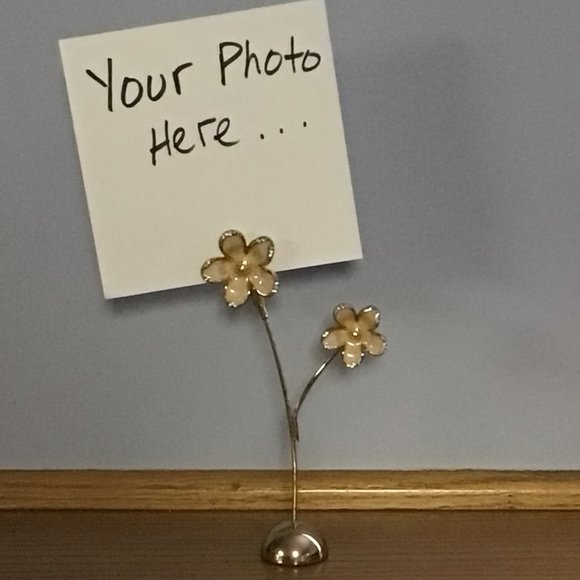 Other - Daisy photo display clip